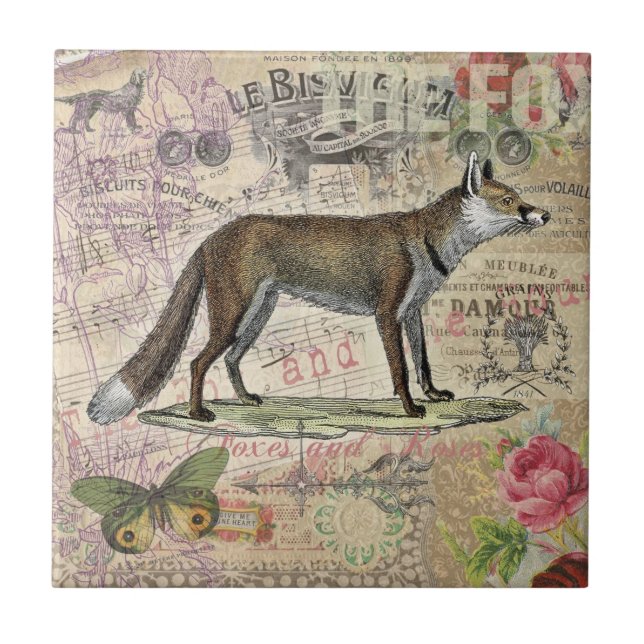 Fox Wildlife Vintage Animal Illustration (Frente)