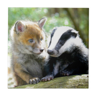 Foxcub & texugo bonitos!