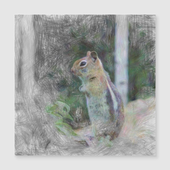 fragmento 1 de animais artísticos (Frente)