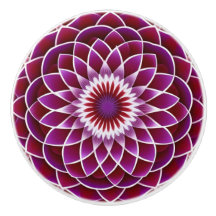 Framboesa e Dália Roxa