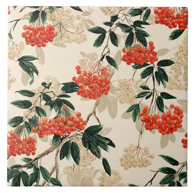 Framboesas, vermelhas e brancas, design (Frente)