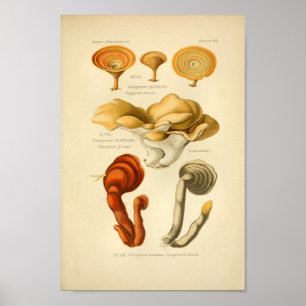 Francês amarelo do impressão da arte dos cogumel