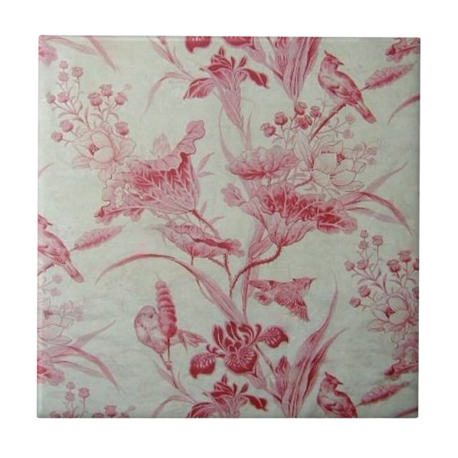 Francês antigo Toile (Frente)