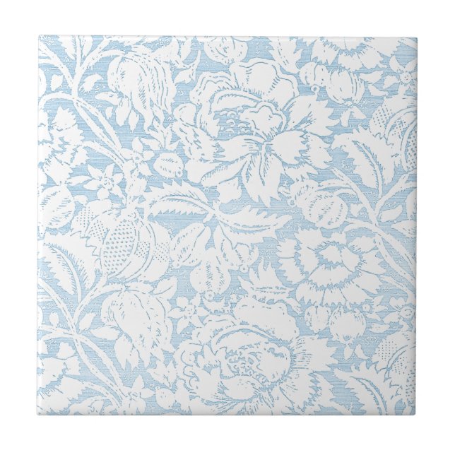 Francês azul gasto Toile (Frente)