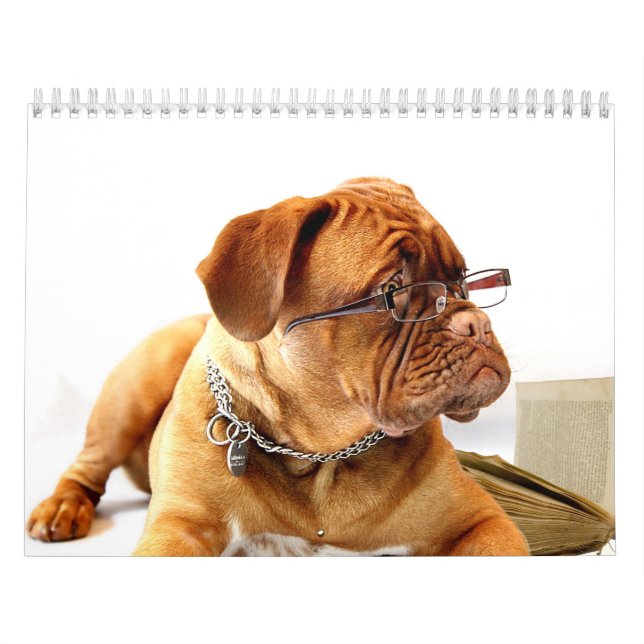 Francês Mastiff Dogue de Bordéus Calendário (Capa)