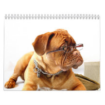 Francês Mastiff Dogue de Bordéus Calendário