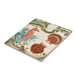 Francês parisiense, moderno vintage seashell seaca