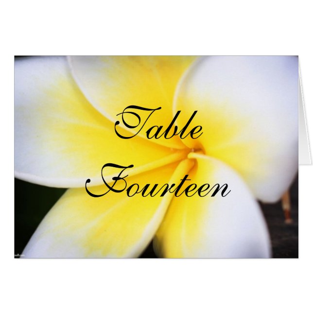 Frangipani - Cartões de Número de Tabela Casada (Frente horizontal)