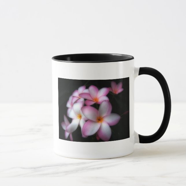 Frangipani na caneca da flor (Direita)
