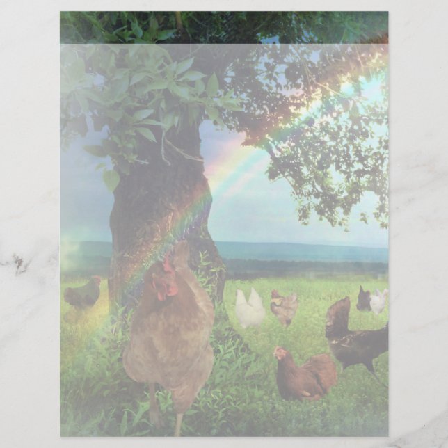 Frango do Céu (Frente)