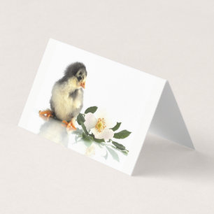 frango engraçado ・ Cartões de visitas dobrados