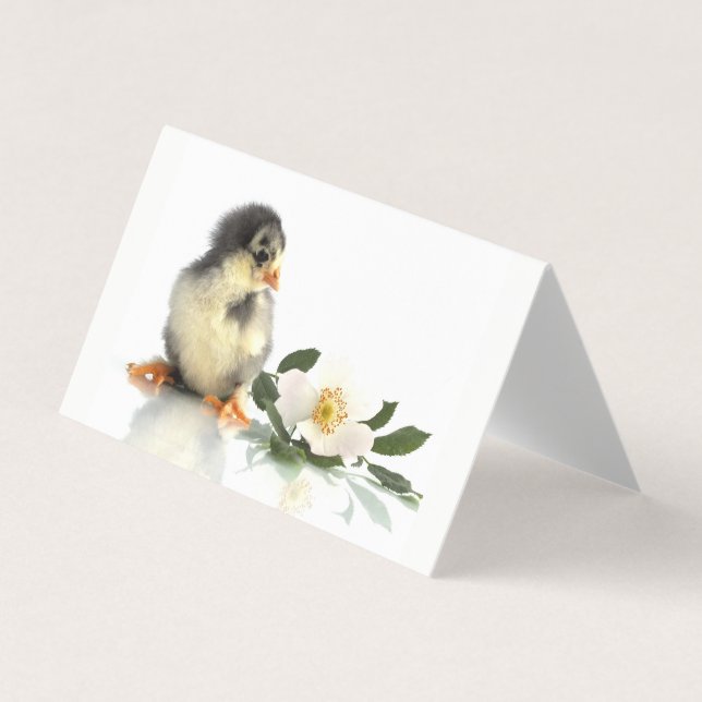 frango engraçado ・ Cartões de visitas dobrados (Frente)