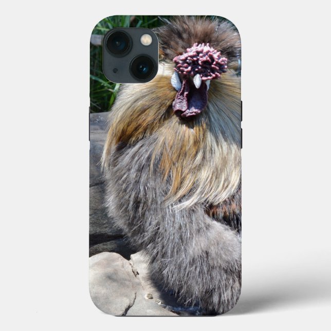Frango Feio Fofinho, capa para iPhone 13 (Verso)