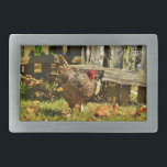 Frango preto e branco no pátio<br><div class="desc">Frango preto e branco no galo de Yard da Fazenda na foto Fazenda de Sandy Closs. "frango amante" "galinha" "galinha de fazenda" "frango decorativo" "frango colorido" "coletor de galinha" "animais de criação" "galinha de galinha"</div>