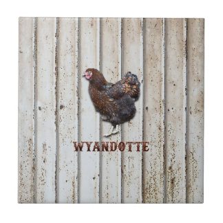 Frango Wyandotte