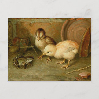 Frank Paton - Você Não é um Frango Cartão Postal