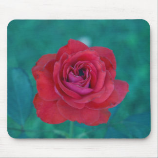 Franquias Mousepad cor-de-rosa