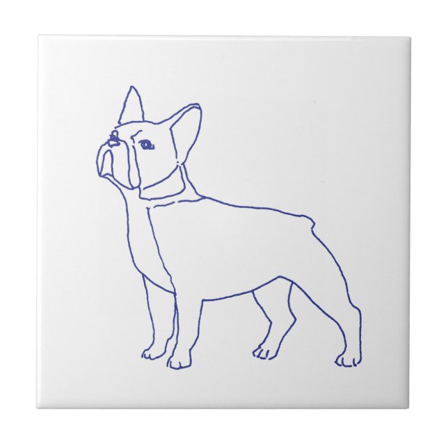 Französische Bulldogge (Frente)