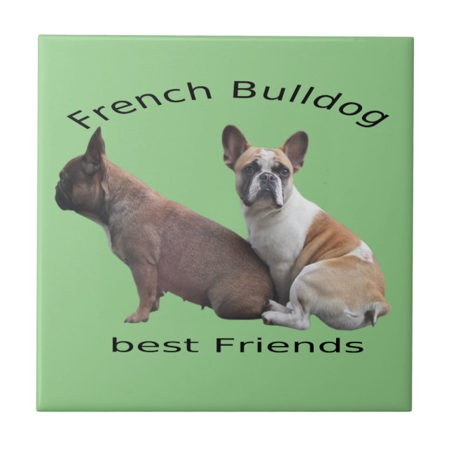 Französische Bulldogge Freunde French Bulldog (Frente)