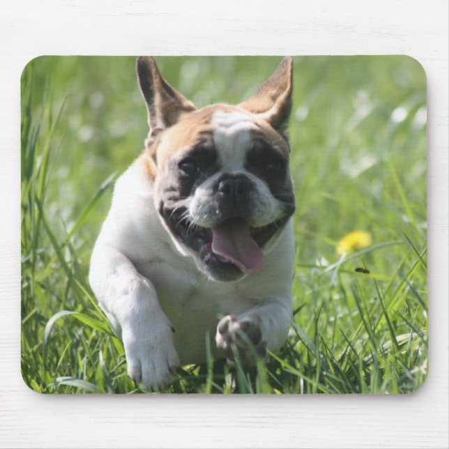 Französische Bulldoggen Mousepad (Frente)