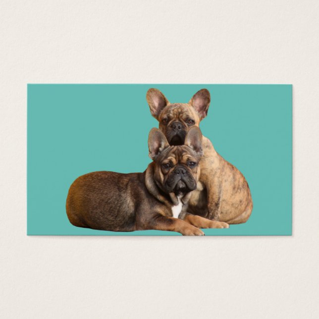 Französische Bulldoggen Visitenkarten (Frente)
