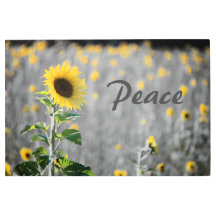 Frase "Paz", Campo de Girassóis, Preto e Branco