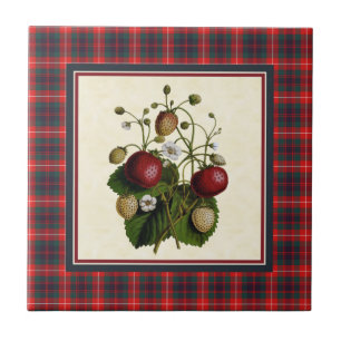 Fraser de Lovat Modern Tartan com Strawberry