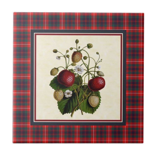 Fraser de Lovat Modern Tartan com Strawberry (Frente)