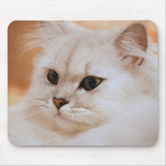 Freddie o grande Mousepad