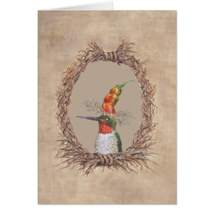 Frederico o cartão do colibri