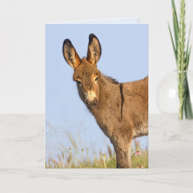 "Free to Roam" - Cartão de Saudação (Frente)