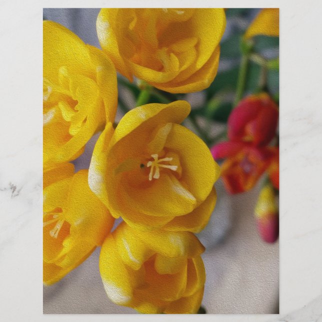 freesia branca (Frente)