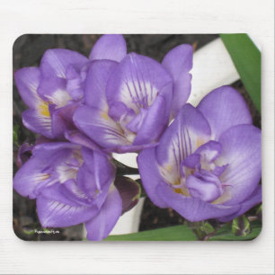 Freesia roxo Mousepad
