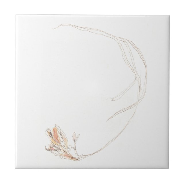 Freesia seca 1 (Frente)