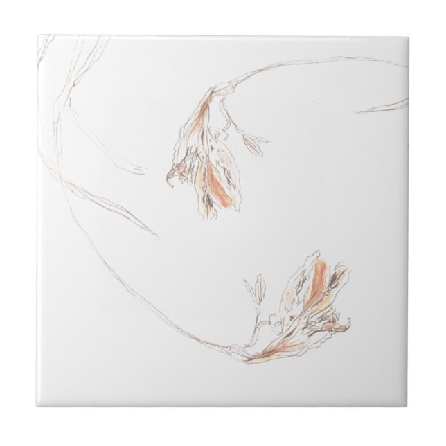 Freesias secas 1 (Frente)