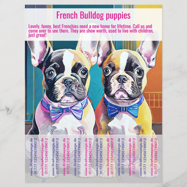 French Bulldog Puppy Flyer  (Frente)