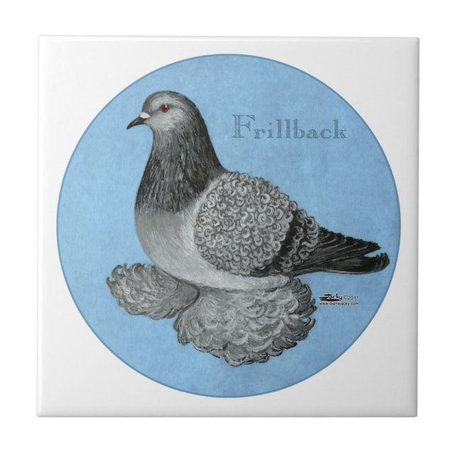 Frente Azul Grizzle Pigeon (Frente)