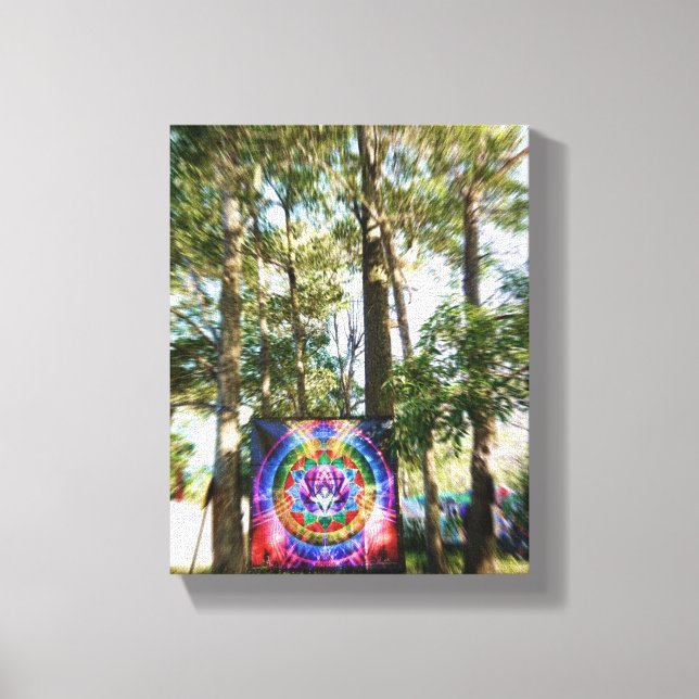 Freq. Terra 2011: Canvas de Artes e Decores (Frente)