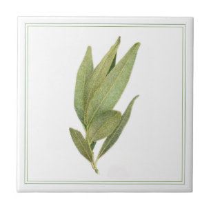 FRESH BAY DEIXA 4,25x4,25 Azulejo cerâmico (-text)