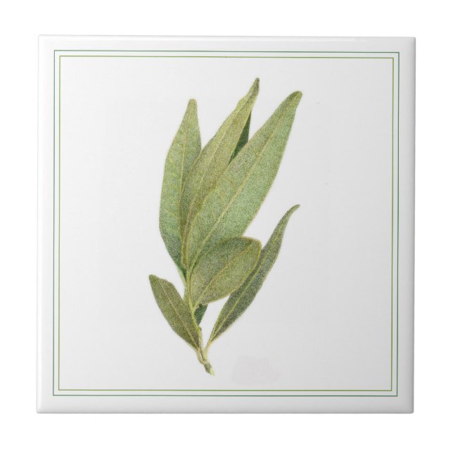 FRESH BAY DEIXA 4,25x4,25 Azulejo cerâmico (-text) (Frente)
