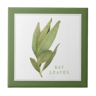 FRESH BAY DEIXA Azulejo cerâmico de 4,25 pol (+tex