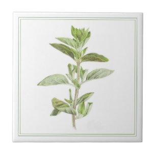 FRESH OREGANO 4.25x4.25 Azulejo cerâmico (-texto)