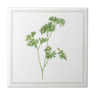 FRESH PARSLEY 4.25x4.25 Azulejo cerâmico (-text)