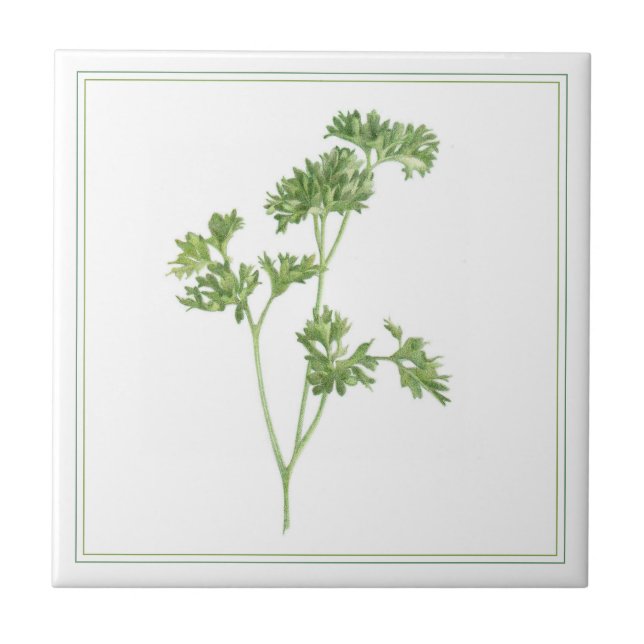FRESH PARSLEY 4.25x4.25 Azulejo cerâmico (-text) (Frente)
