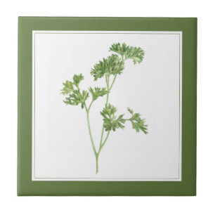 FRESH PARSLEY 4.25x4.25 Azulejo cerâmico (-text) V