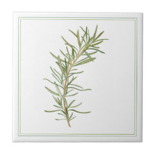 FRESH ROSEMARY 4.25x4.25 Azulejo cerâmico (-text)