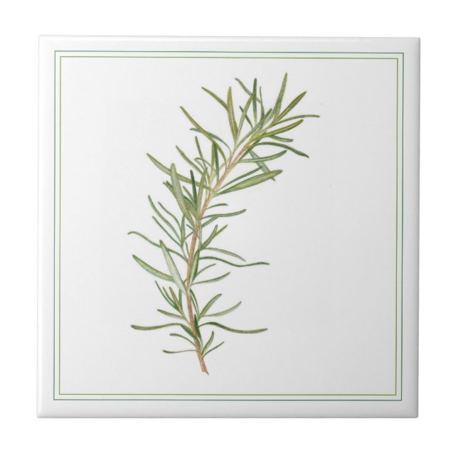 FRESH ROSEMARY 4.25x4.25 Azulejo cerâmico (-text) (Frente)