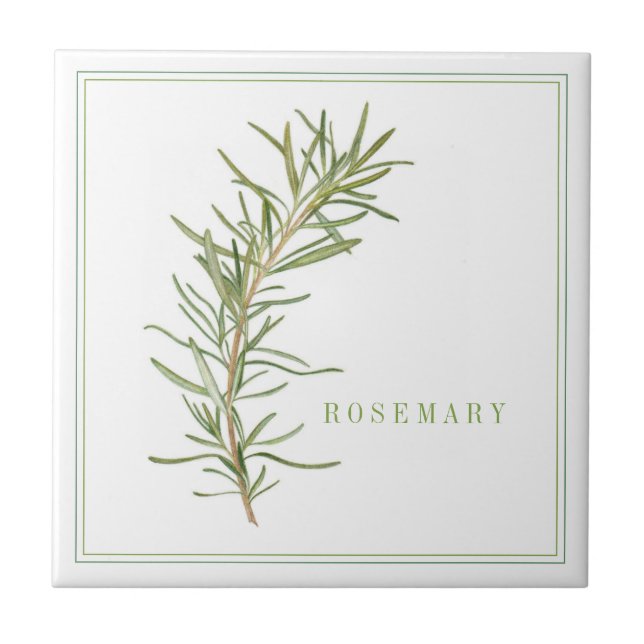 FRESH ROSEMARY 4.25x4.25 Azulejo cerâmico (+texto) (Frente)