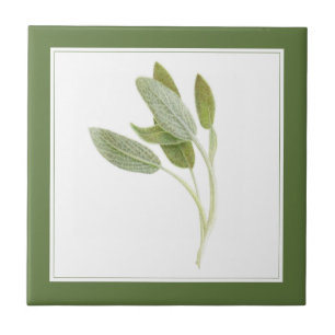 FRESH SAGE 4.25x4.25 Azulejo cerâmico (-text) Verd