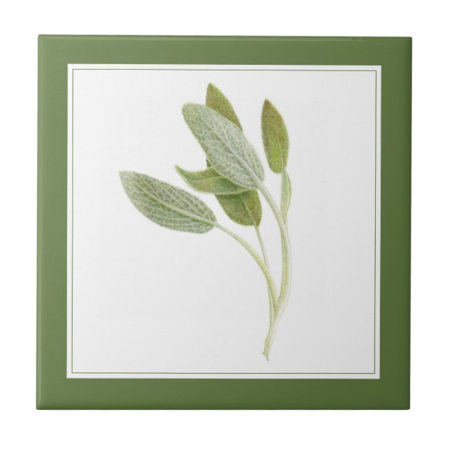 FRESH SAGE 4.25x4.25 Azulejo cerâmico (-text) Verd (Frente)